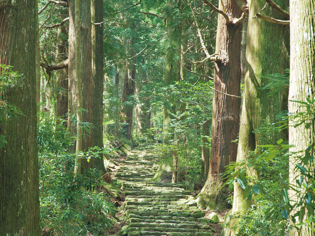 （公社）和歌山県観光連盟