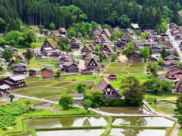 提供：岐阜県白川村役場