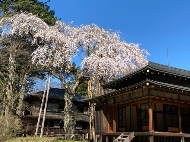提供：日光田母沢御用邸記念公園