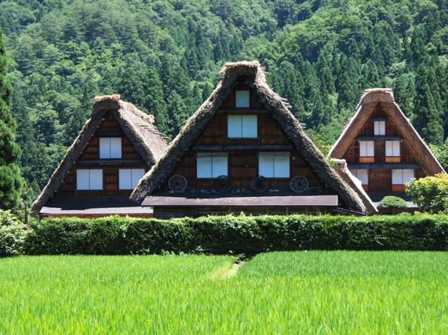 提供：岐阜県白川村役場