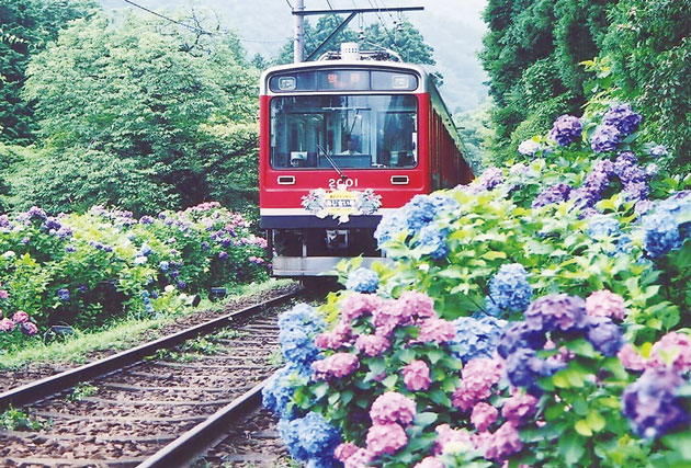 提供：箱根登山鉄道