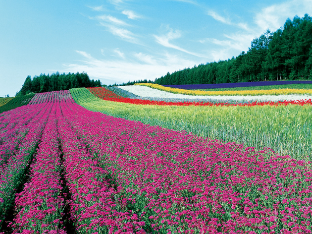 提供：北海道観光振興機構