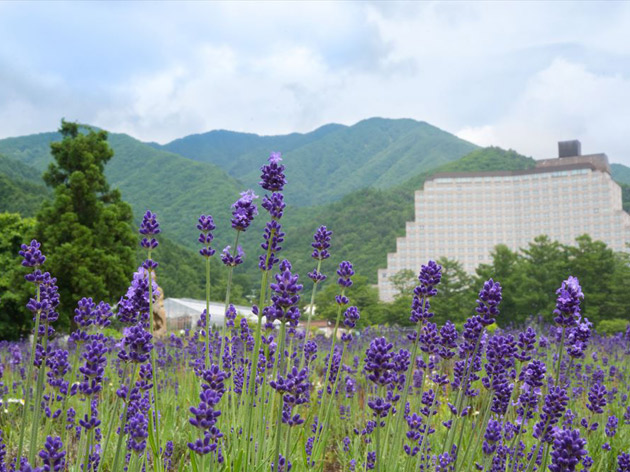 提供：ホテルリステル猪苗代