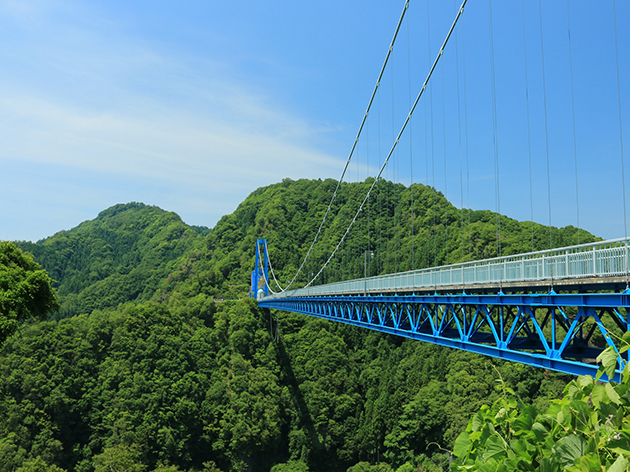 竜神大吊橋（イメージ）