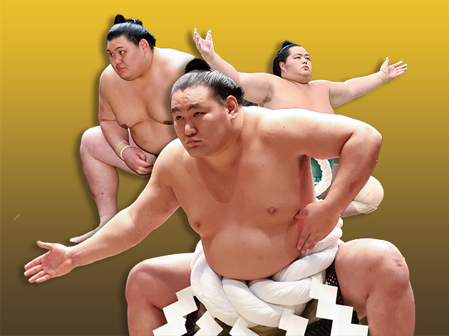 提供：NST新潟総合テレビ　