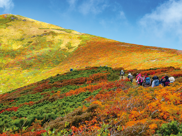 栗駒山（イメージ）