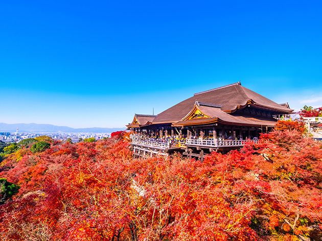 清水寺（イメージ）