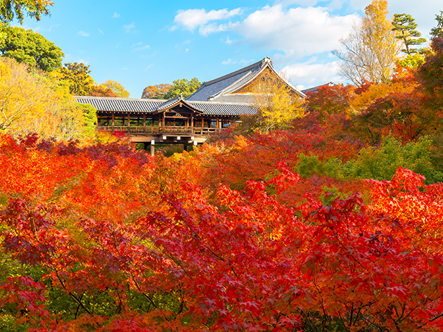 東福寺（イメージ）