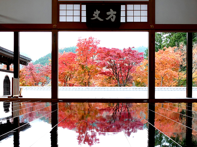 宝徳寺（イメージ）