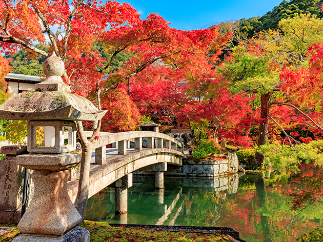 永観堂禅林寺（イメージ）
