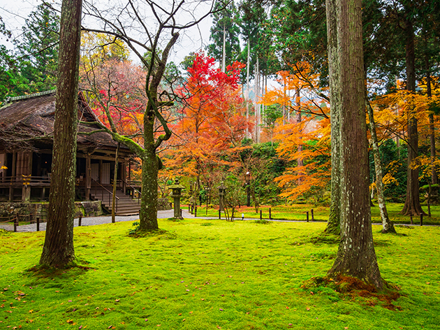 大原三千院（イメージ）