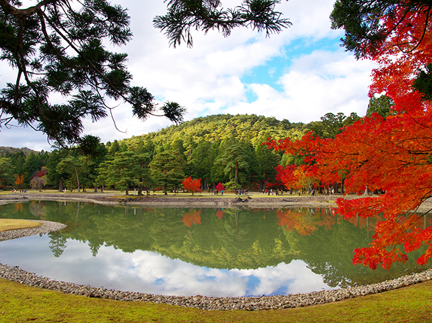 毛越寺（イメージ）