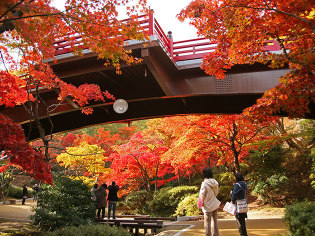 弥彦公園（イメージ）