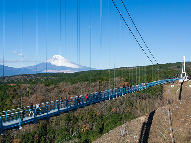 三島スカイウォーク（イメージ）