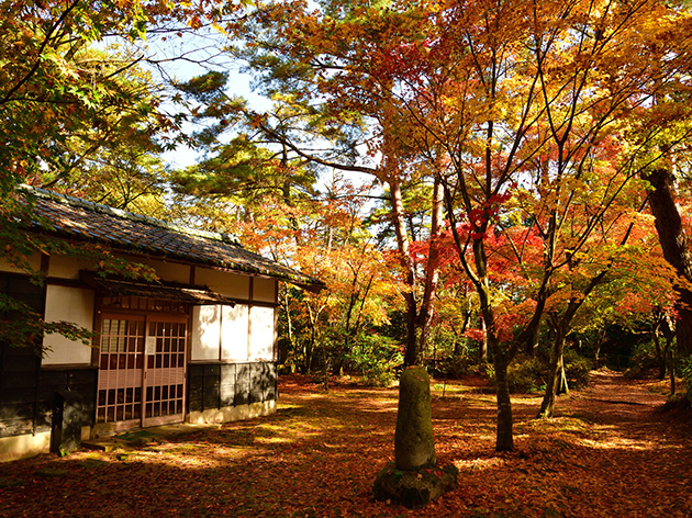 市島邸(イメージ)