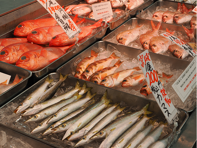寺泊魚の市場通り（イメージ）