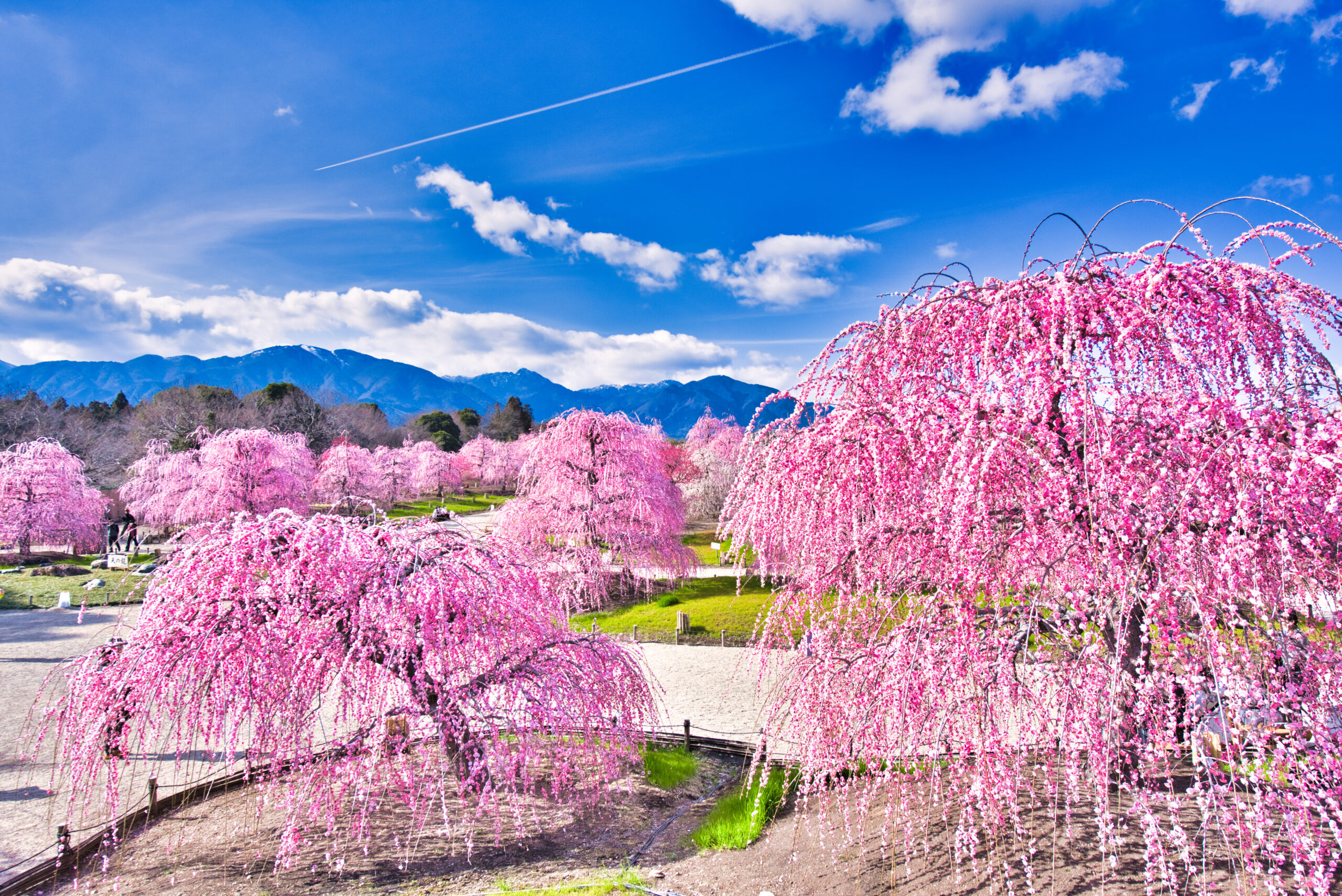 鈴鹿の森庭園（イメージ）
