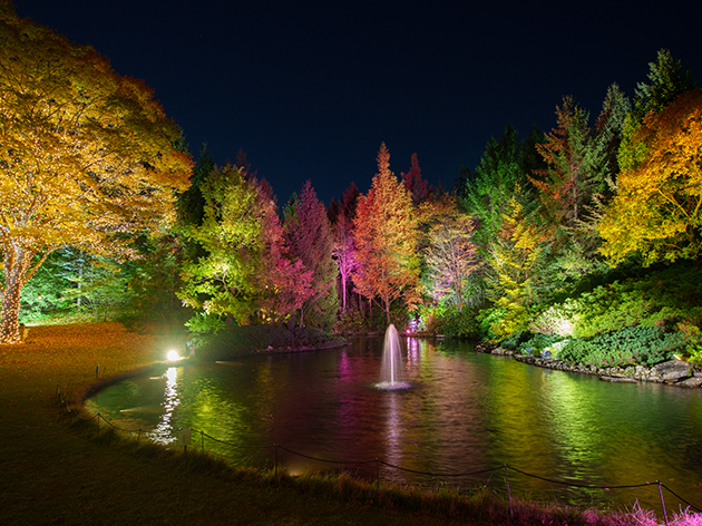 とある観光施設（イメージ）