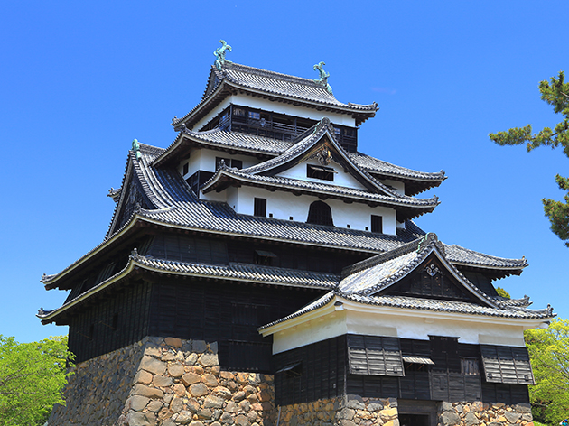 松江城（イメージ）