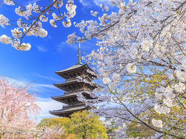 東寺（イメージ）