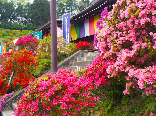 塩船観音寺（イメージ）