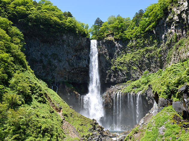 華厳選（イメージ）
