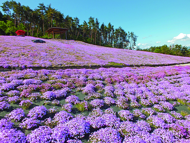 ジュピアランド（イメージ）