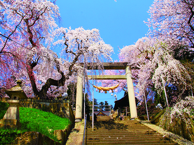 烏帽子山公園（イメージ）