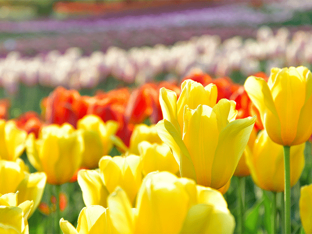 てんこ盛りポイント④