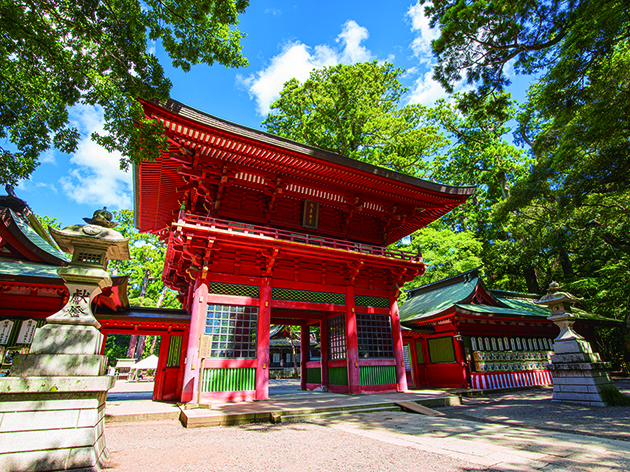 鹿島神社（イメージ）