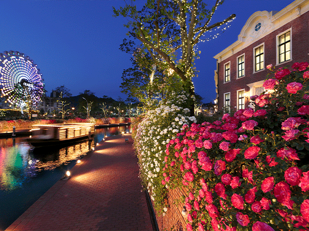 ハウステンボス　ナイトローズ（イメージ）