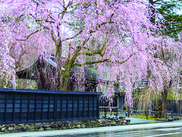 武家屋敷通り（イメージ）