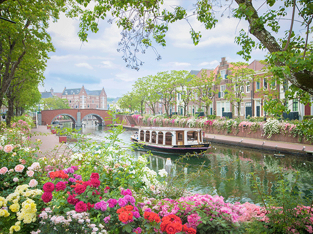 ハウステンボス　カナルクルーザーとバラ（イメージ）