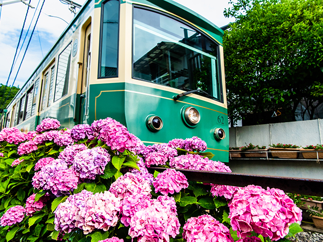 江ノ島電鉄（イメージ）