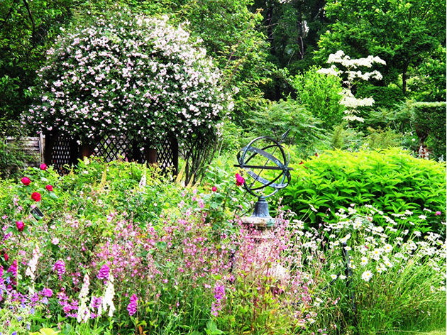 提供：蓼科バラクライングリッシュガーデン