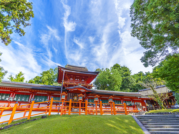 春日大社（イメージ）