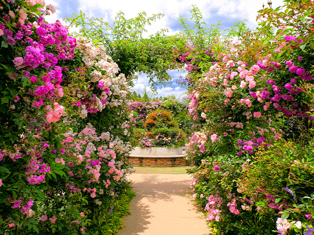 中条ガーデン（イメージ）