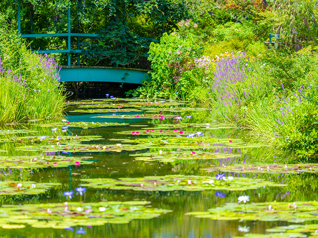 「モネの庭」マルモッタン（イメージ）