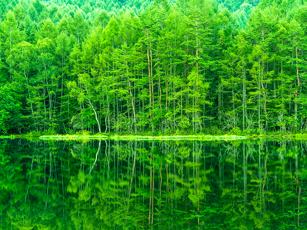 御射鹿池（イメージ）