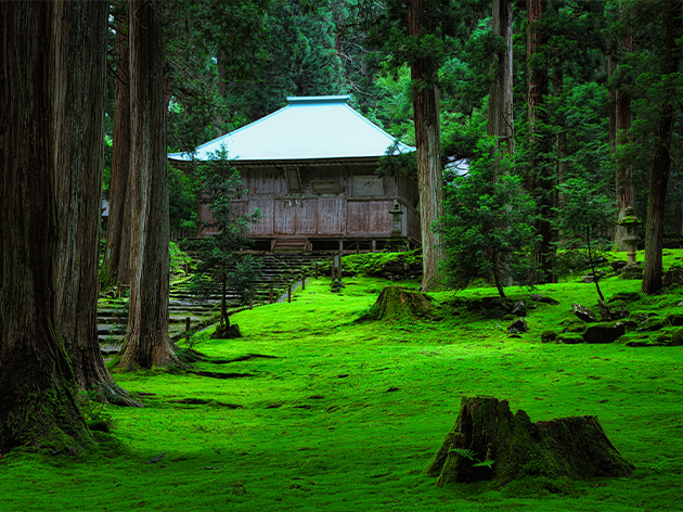 白山平泉寺ー苔寺（イメージ）