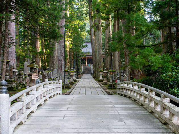 高野山奥之院（イメージ）