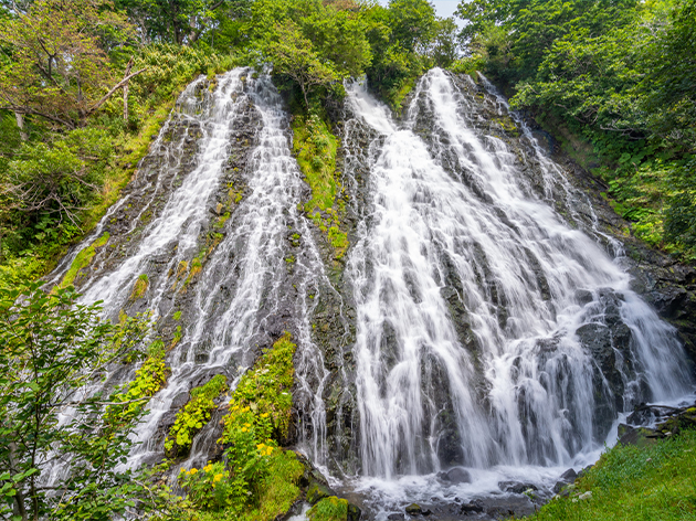 オシンコシンの滝