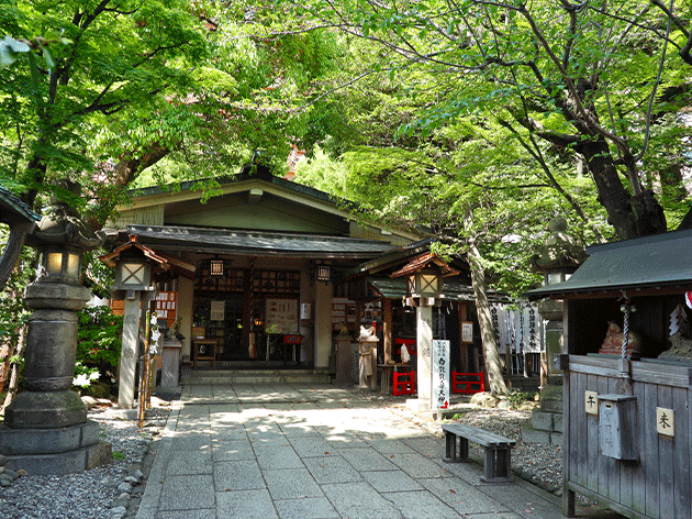 洲崎神社（イメージ）