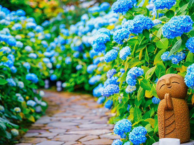 雲昌寺（イメージ）