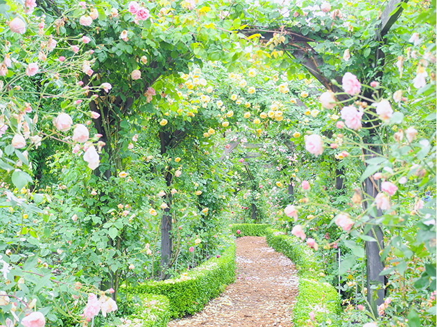 軽井沢レイクガーデン（イメージ）