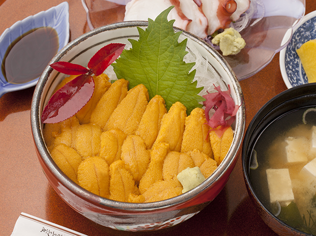 昼食：食事処松原/キラキラうに丼（イメージ）