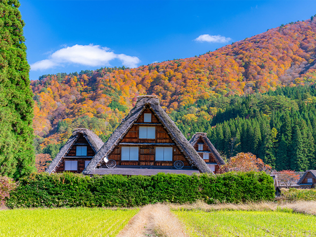 白川郷（イメージ）
