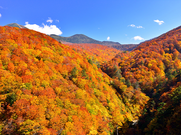 八甲田山(イメージ)
