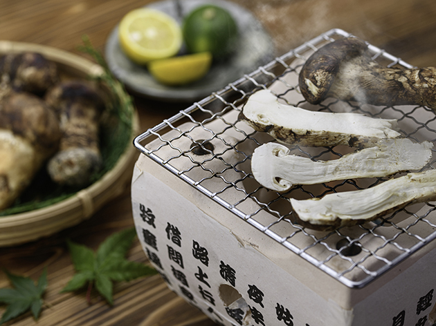 松茸ランチ（イメージ）