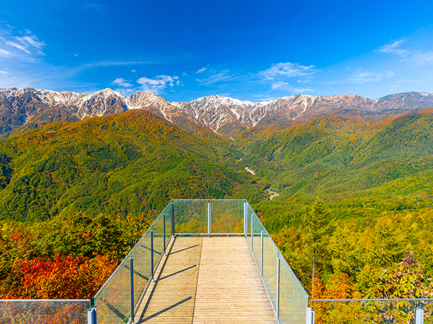 白馬岩岳マウンテンリゾート